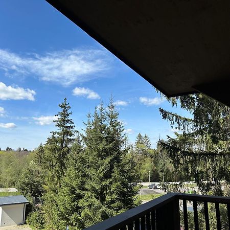Apartman Pod Smrekom Demaenovska Dolina מראה חיצוני תמונה