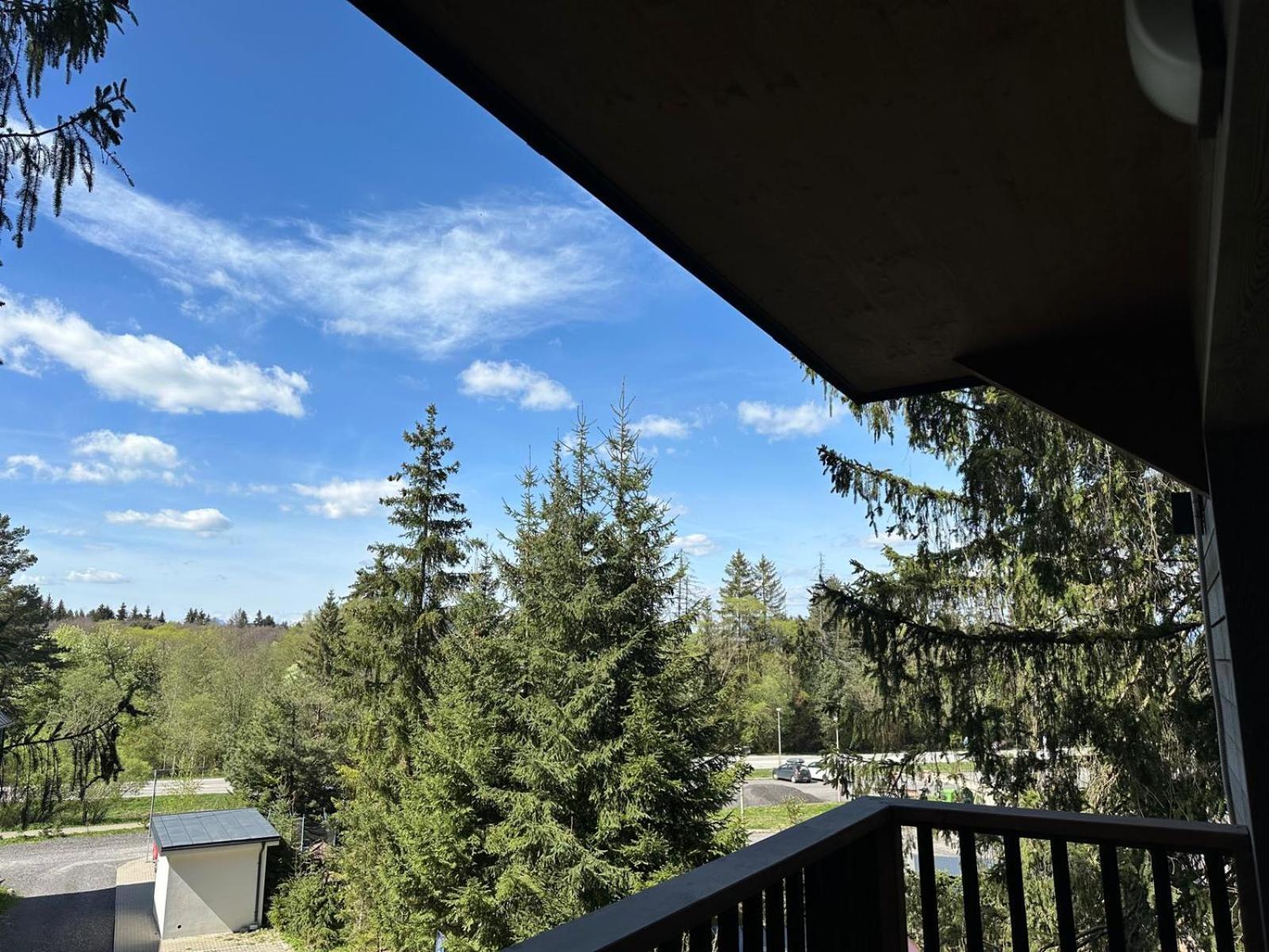 Apartman Pod Smrekom Demaenovska Dolina מראה חיצוני תמונה